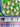 Country Club Luxe Mahjong Set - Mahjong Set