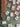 Western Luxe Mahjong Set - Mahjong Set